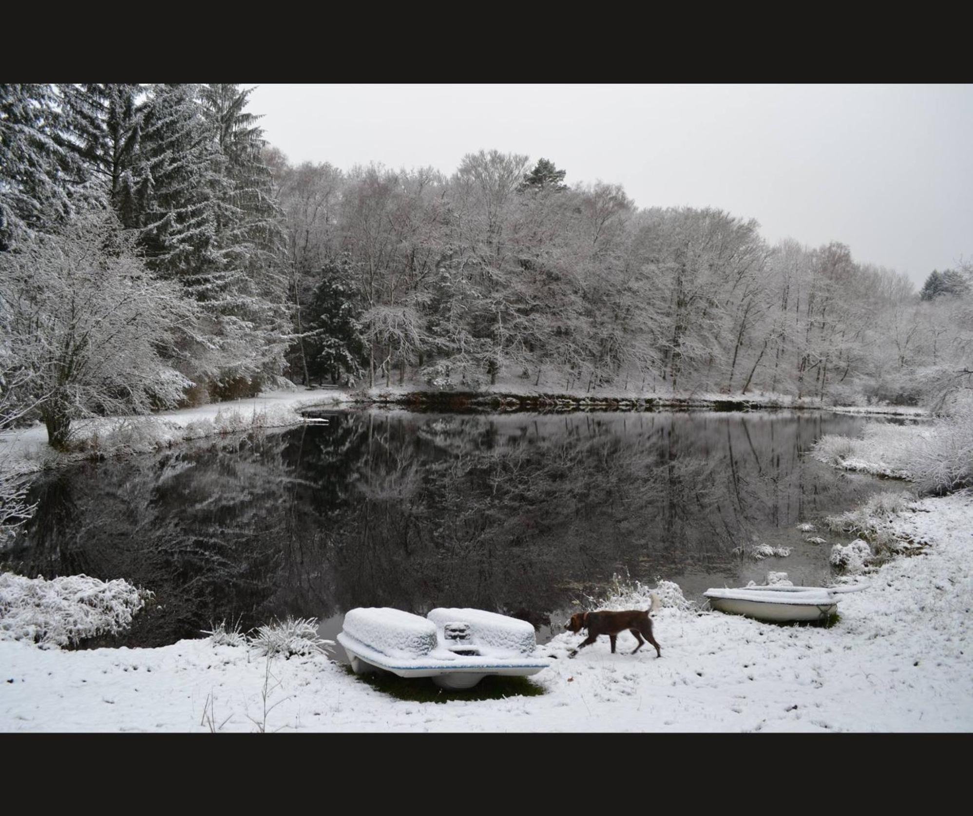 Cabane Limousine Au Bord D'Un Etang Bonnac-la-Cote Экстерьер фото
